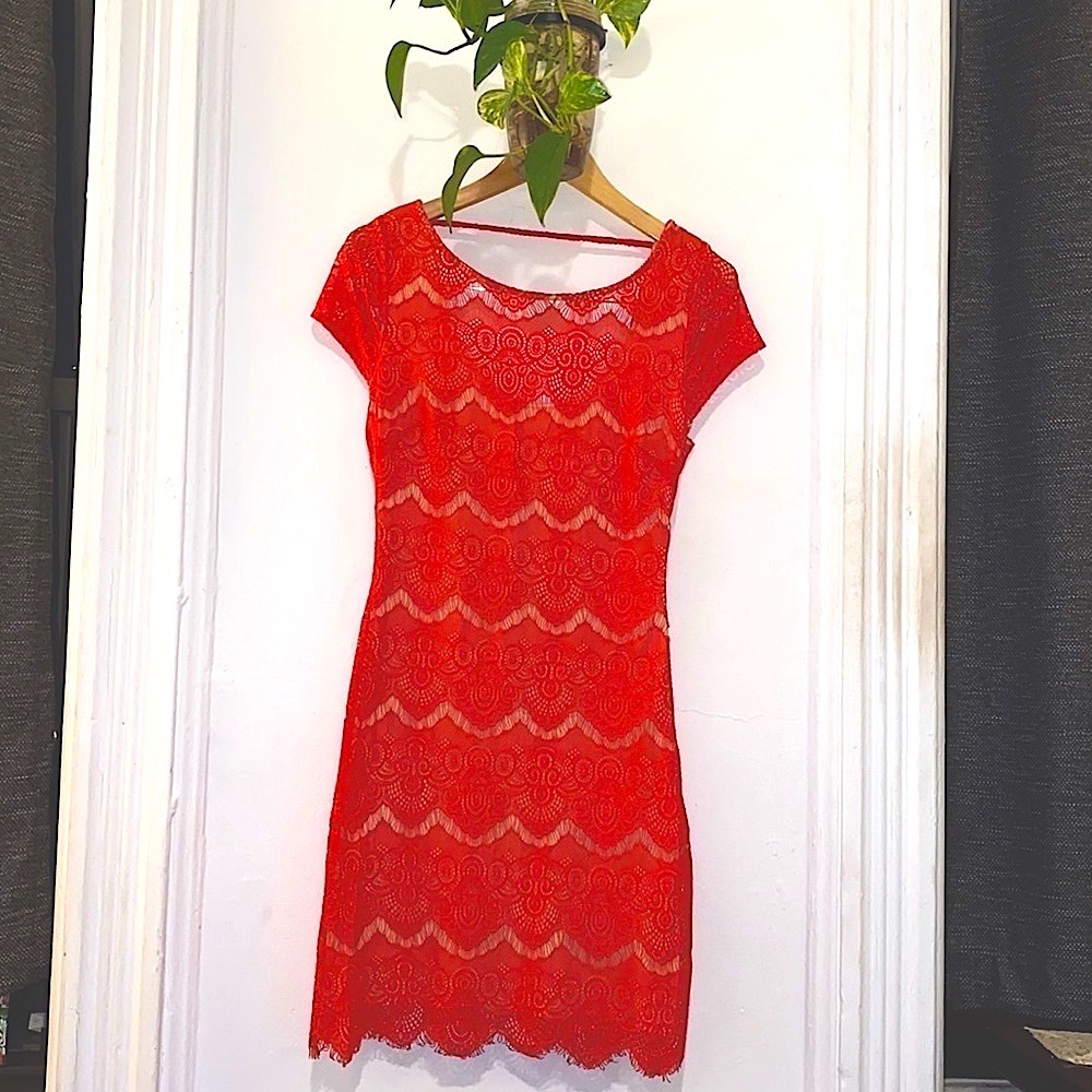 Bebe Dress soft underlined lace dress